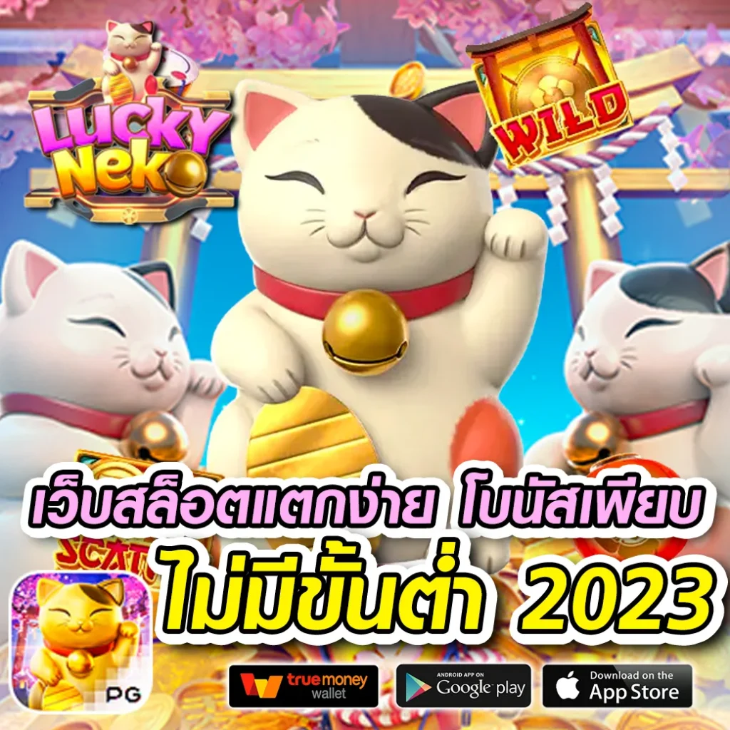 BOONCHOK LOTTO login